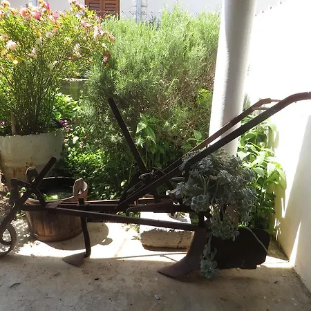 Lejlighed Filipovic With Pool *