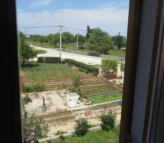 Filipovic With Pool