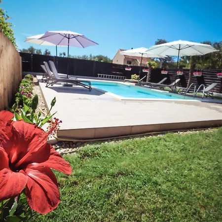 Διαμέρισμα Filipovic With Pool