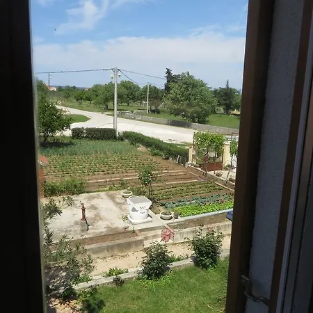 Filipovic With Pool